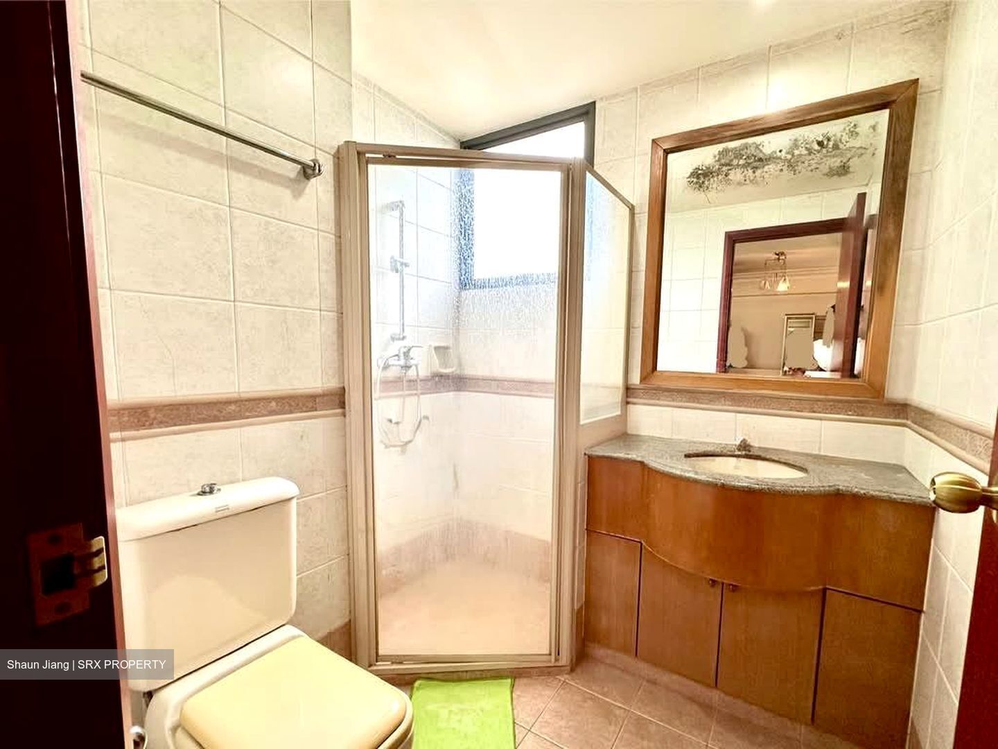 Central View (D19), Condominium #572238651